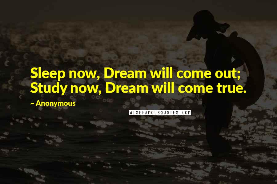 Anonymous Quotes: Sleep now, Dream will come out; Study now, Dream will come true.