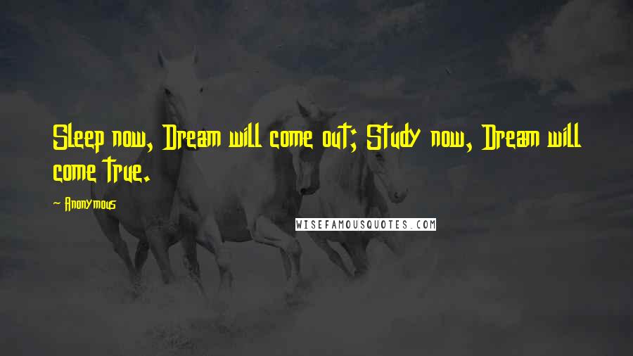 Anonymous Quotes: Sleep now, Dream will come out; Study now, Dream will come true.