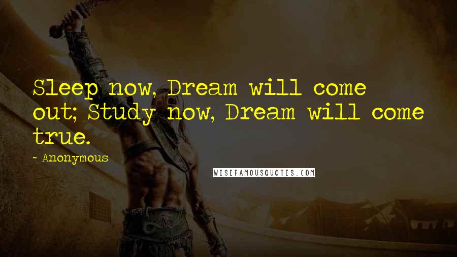 Anonymous Quotes: Sleep now, Dream will come out; Study now, Dream will come true.