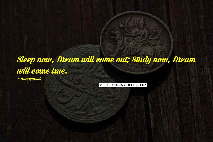 Anonymous Quotes: Sleep now, Dream will come out; Study now, Dream will come true.
