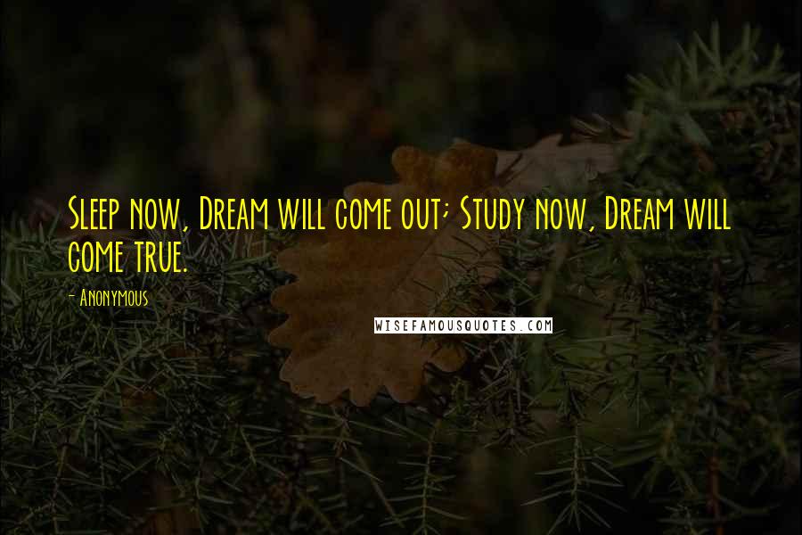 Anonymous Quotes: Sleep now, Dream will come out; Study now, Dream will come true.
