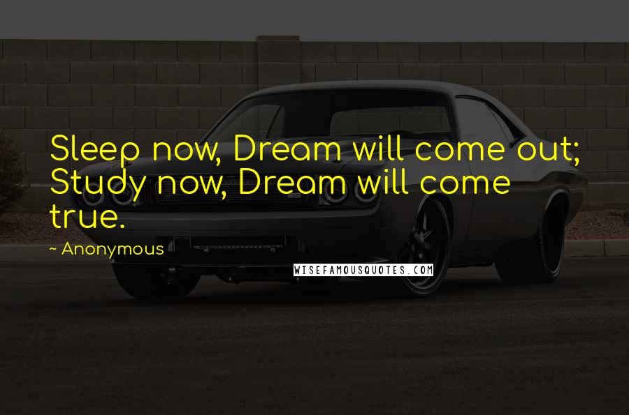 Anonymous Quotes: Sleep now, Dream will come out; Study now, Dream will come true.