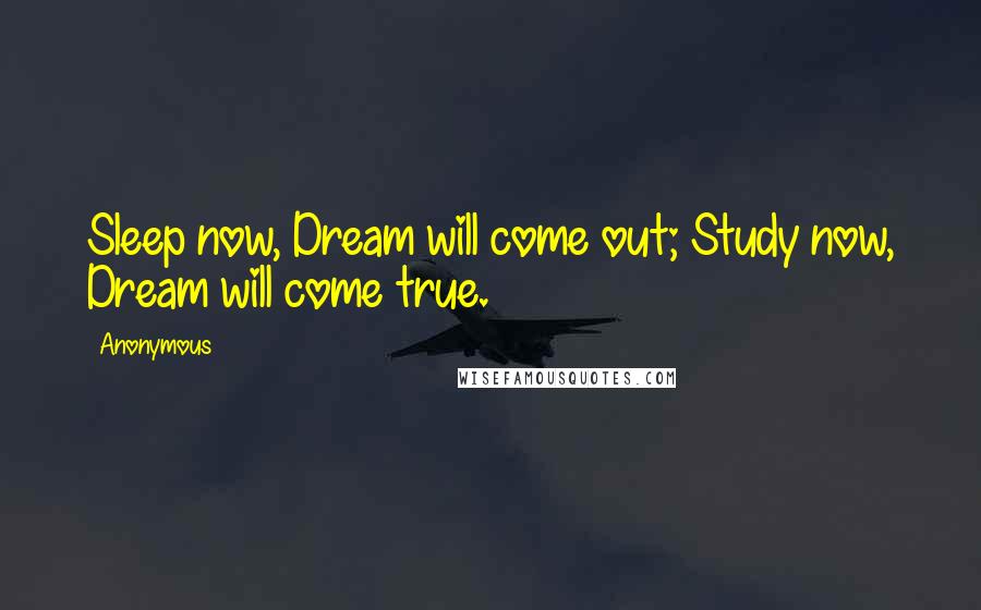 Anonymous Quotes: Sleep now, Dream will come out; Study now, Dream will come true.