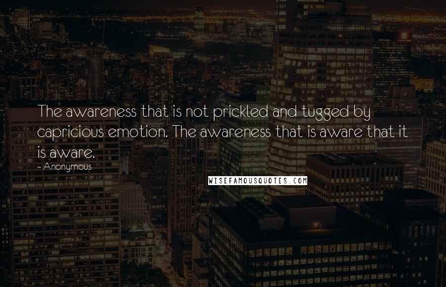Anonymous Quotes: The awareness that is not prickled and tugged by capricious emotion. The awareness that is aware that it is aware.