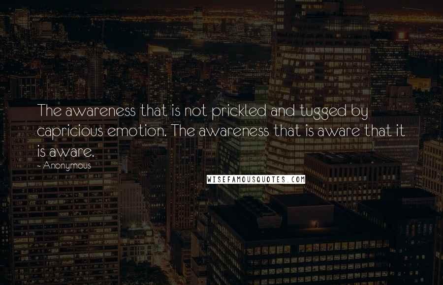 Anonymous Quotes: The awareness that is not prickled and tugged by capricious emotion. The awareness that is aware that it is aware.