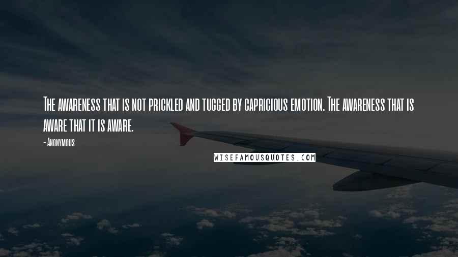 Anonymous Quotes: The awareness that is not prickled and tugged by capricious emotion. The awareness that is aware that it is aware.