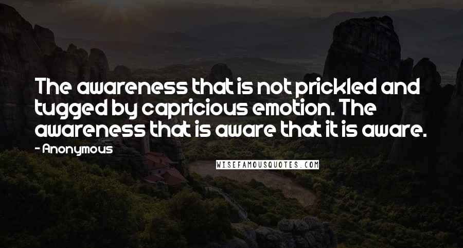 Anonymous Quotes: The awareness that is not prickled and tugged by capricious emotion. The awareness that is aware that it is aware.