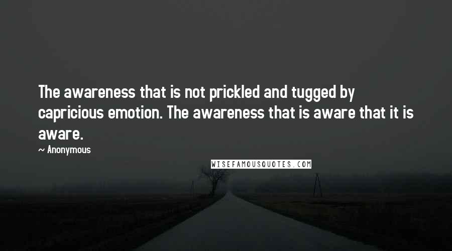 Anonymous Quotes: The awareness that is not prickled and tugged by capricious emotion. The awareness that is aware that it is aware.