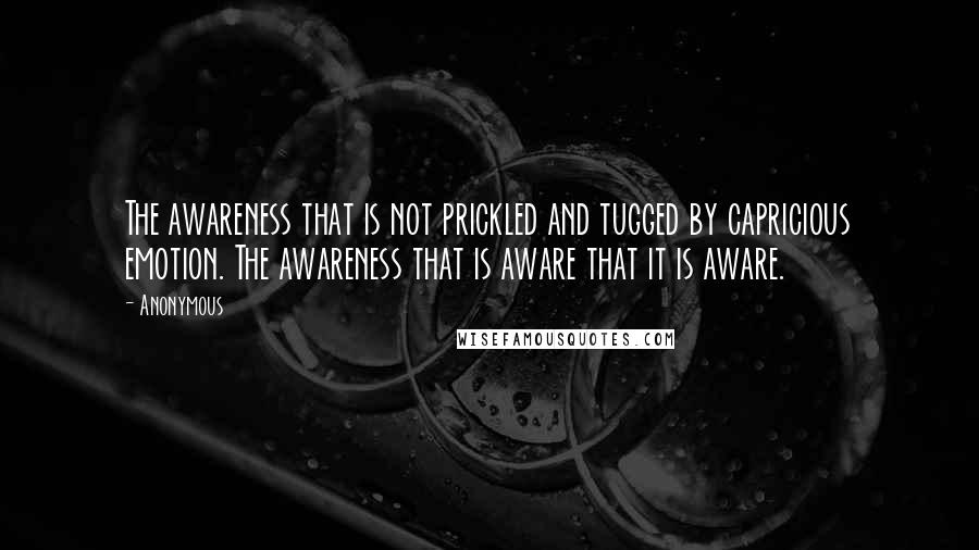 Anonymous Quotes: The awareness that is not prickled and tugged by capricious emotion. The awareness that is aware that it is aware.