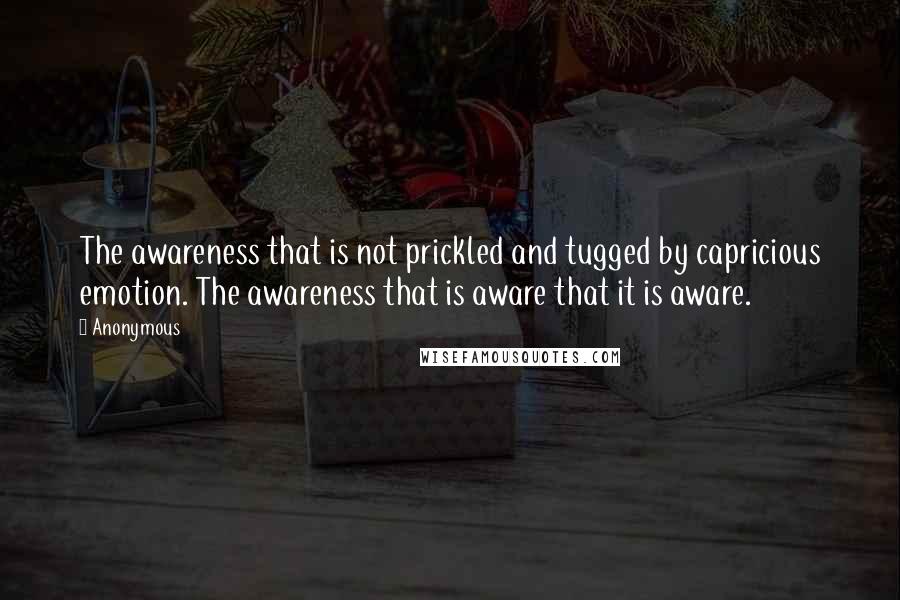 Anonymous Quotes: The awareness that is not prickled and tugged by capricious emotion. The awareness that is aware that it is aware.