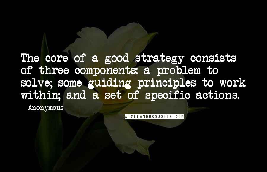 Anonymous Quotes: The core of a good strategy consists of three components: a problem to solve; some guiding principles to work within; and a set of specific actions.