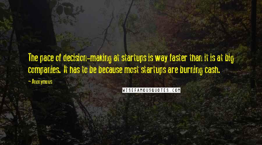 Anonymous Quotes: The pace of decision-making at startups is way faster than it is at big companies. It has to be because most startups are burning cash.