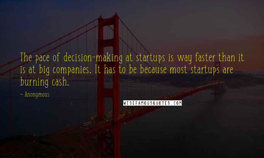 Anonymous Quotes: The pace of decision-making at startups is way faster than it is at big companies. It has to be because most startups are burning cash.