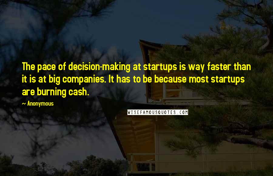 Anonymous Quotes: The pace of decision-making at startups is way faster than it is at big companies. It has to be because most startups are burning cash.