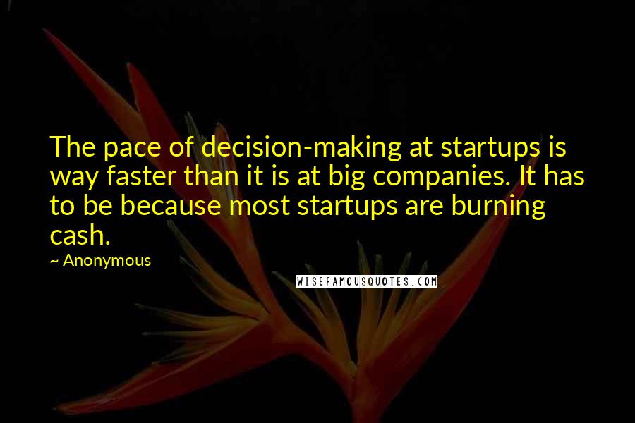 Anonymous Quotes: The pace of decision-making at startups is way faster than it is at big companies. It has to be because most startups are burning cash.