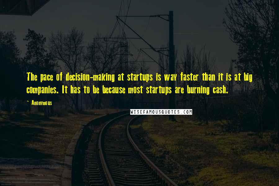 Anonymous Quotes: The pace of decision-making at startups is way faster than it is at big companies. It has to be because most startups are burning cash.