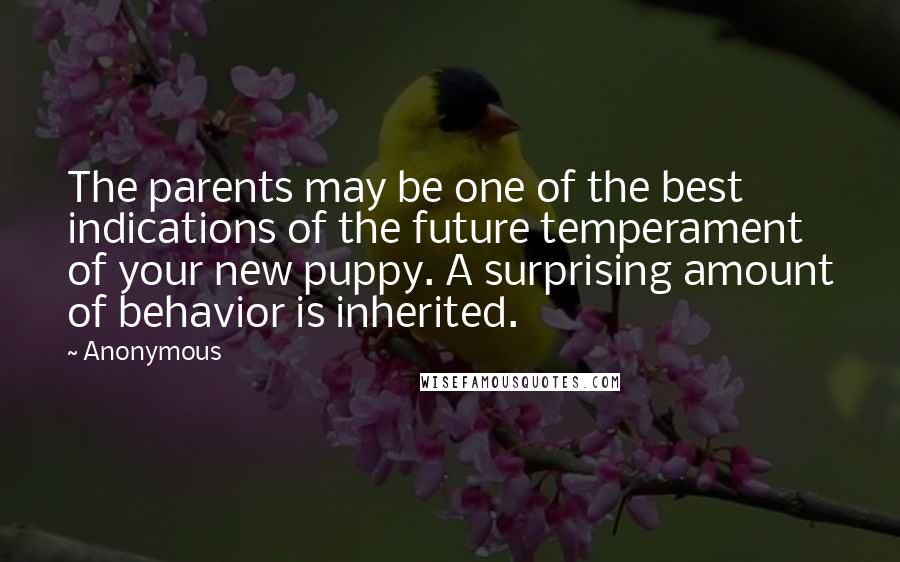 Anonymous Quotes: The parents may be one of the best indications of the future temperament of your new puppy. A surprising amount of behavior is inherited.