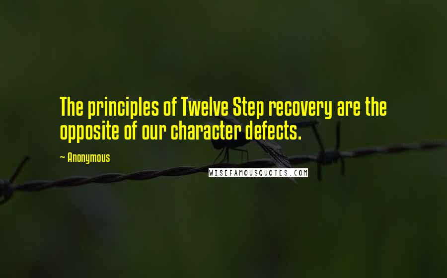 Anonymous Quotes: The principles of Twelve Step recovery are the opposite of our character defects.