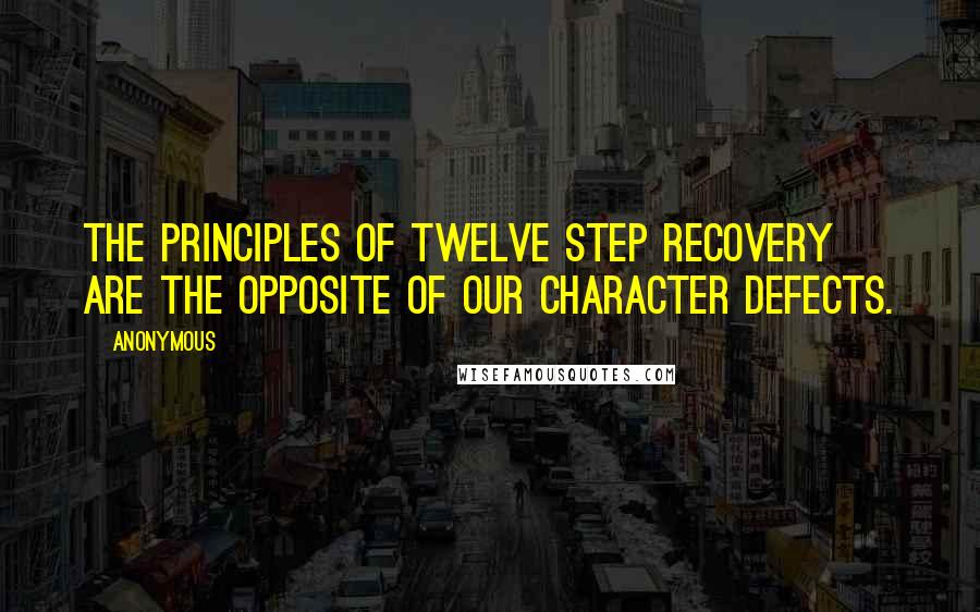 Anonymous Quotes: The principles of Twelve Step recovery are the opposite of our character defects.