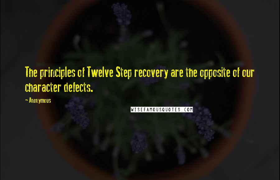 Anonymous Quotes: The principles of Twelve Step recovery are the opposite of our character defects.