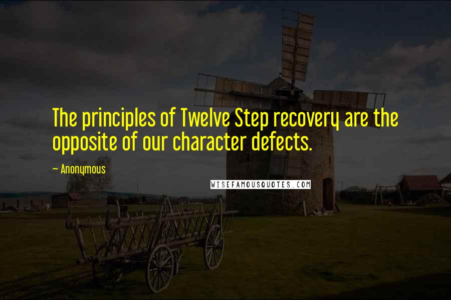 Anonymous Quotes: The principles of Twelve Step recovery are the opposite of our character defects.