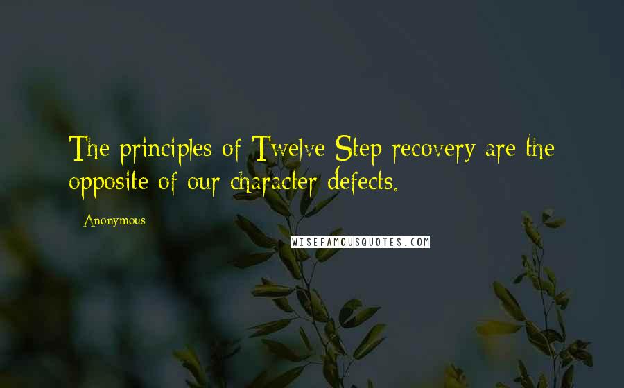 Anonymous Quotes: The principles of Twelve Step recovery are the opposite of our character defects.