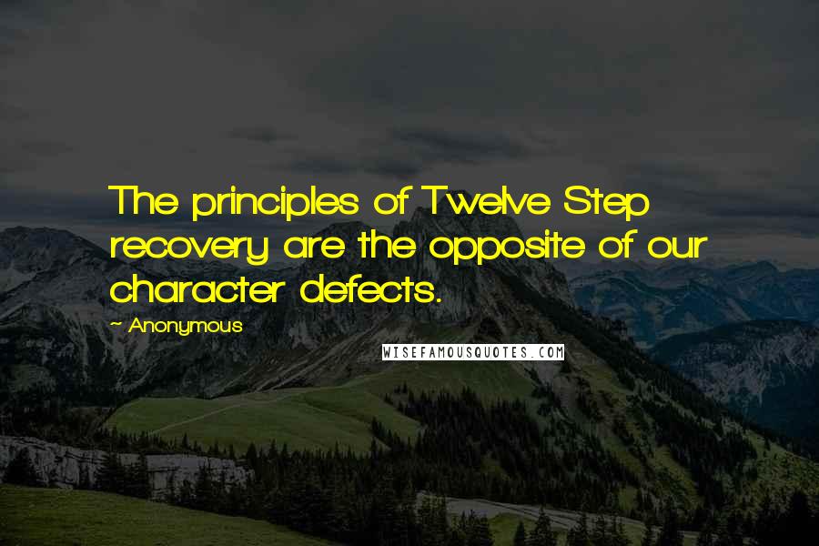 Anonymous Quotes: The principles of Twelve Step recovery are the opposite of our character defects.