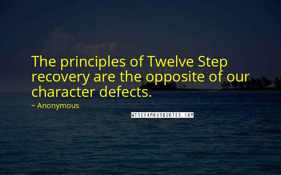 Anonymous Quotes: The principles of Twelve Step recovery are the opposite of our character defects.