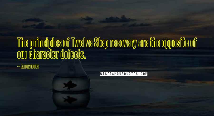 Anonymous Quotes: The principles of Twelve Step recovery are the opposite of our character defects.