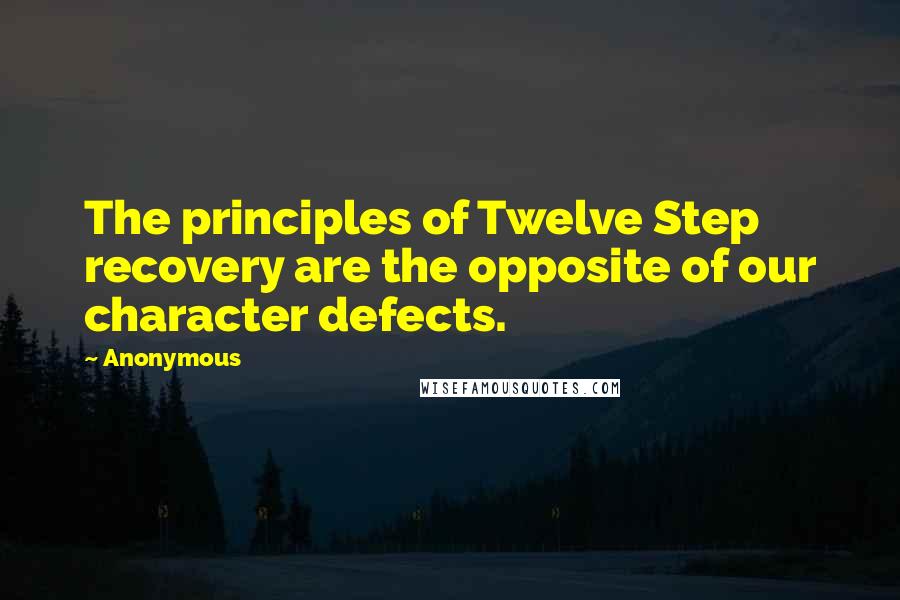 Anonymous Quotes: The principles of Twelve Step recovery are the opposite of our character defects.