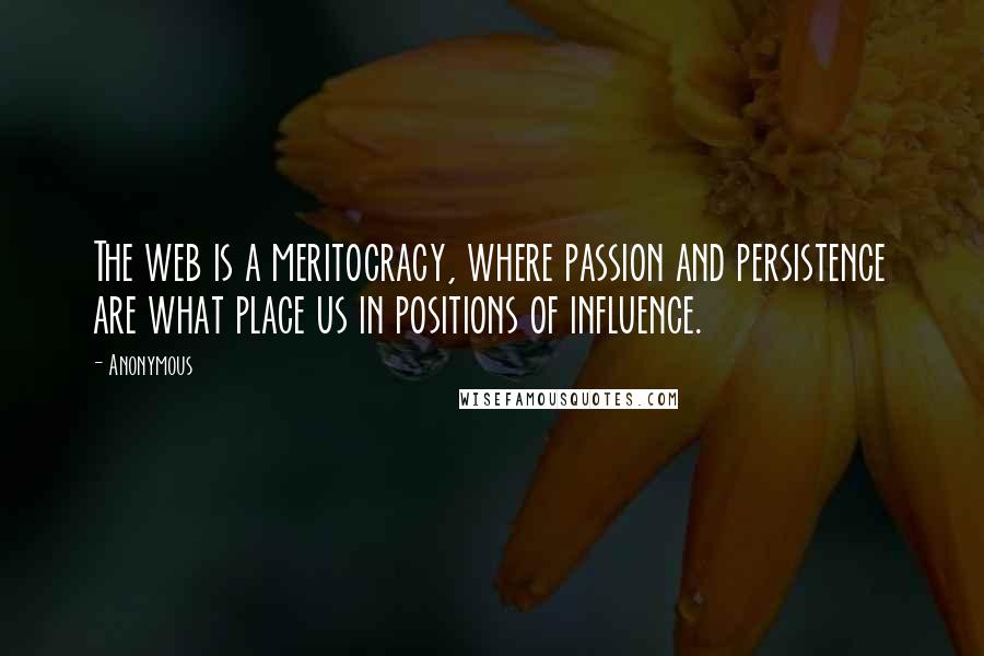 Anonymous Quotes: The web is a meritocracy, where passion and persistence are what place us in positions of influence.