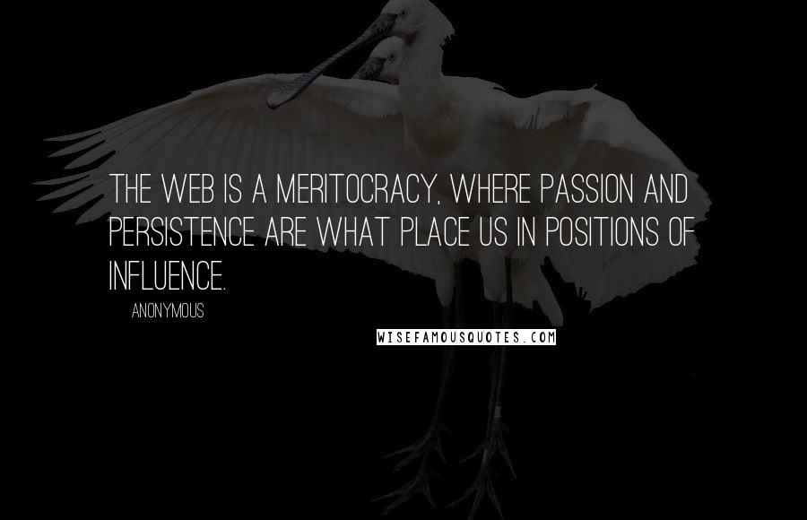 Anonymous Quotes: The web is a meritocracy, where passion and persistence are what place us in positions of influence.