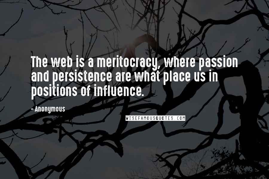 Anonymous Quotes: The web is a meritocracy, where passion and persistence are what place us in positions of influence.