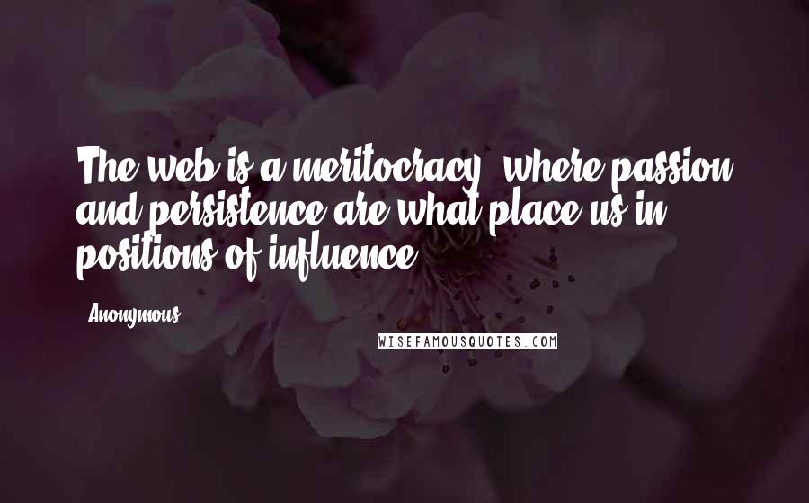 Anonymous Quotes: The web is a meritocracy, where passion and persistence are what place us in positions of influence.