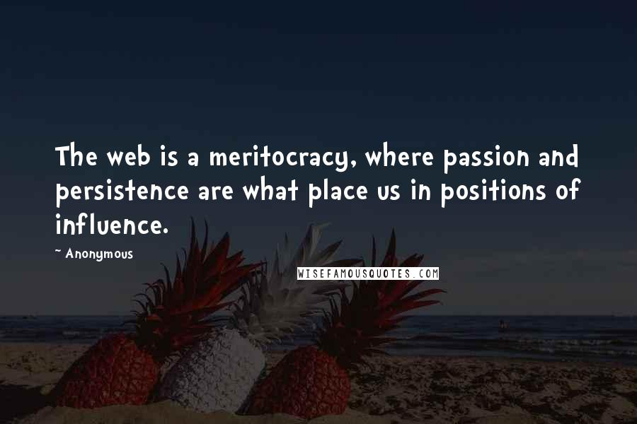 Anonymous Quotes: The web is a meritocracy, where passion and persistence are what place us in positions of influence.