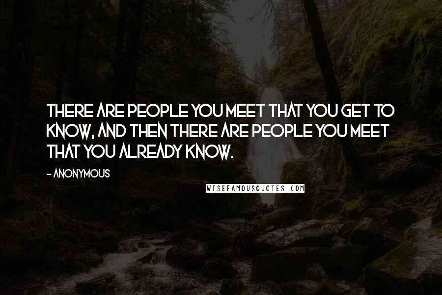 Anonymous Quotes: There are people you meet that you get to know, and then there are people you meet that you already know.