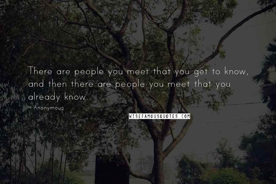 Anonymous Quotes: There are people you meet that you get to know, and then there are people you meet that you already know.