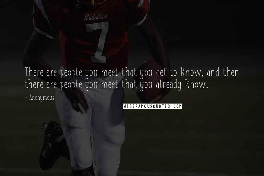 Anonymous Quotes: There are people you meet that you get to know, and then there are people you meet that you already know.