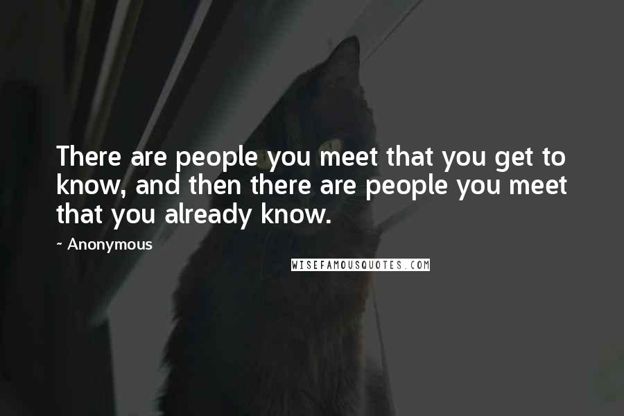 Anonymous Quotes: There are people you meet that you get to know, and then there are people you meet that you already know.
