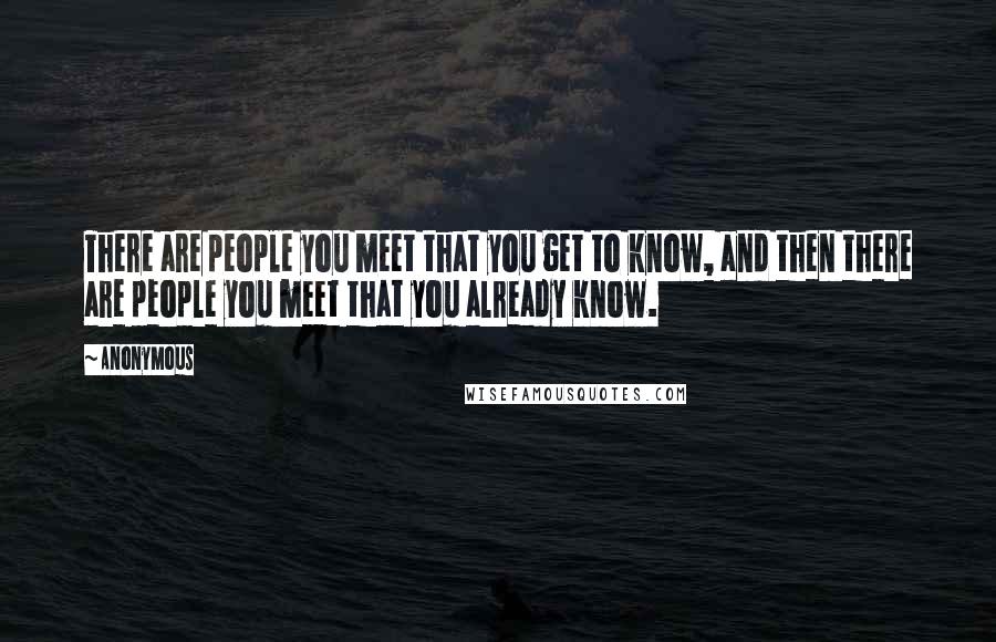 Anonymous Quotes: There are people you meet that you get to know, and then there are people you meet that you already know.