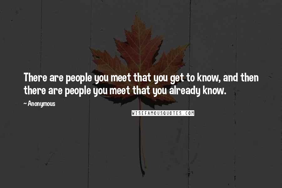 Anonymous Quotes: There are people you meet that you get to know, and then there are people you meet that you already know.