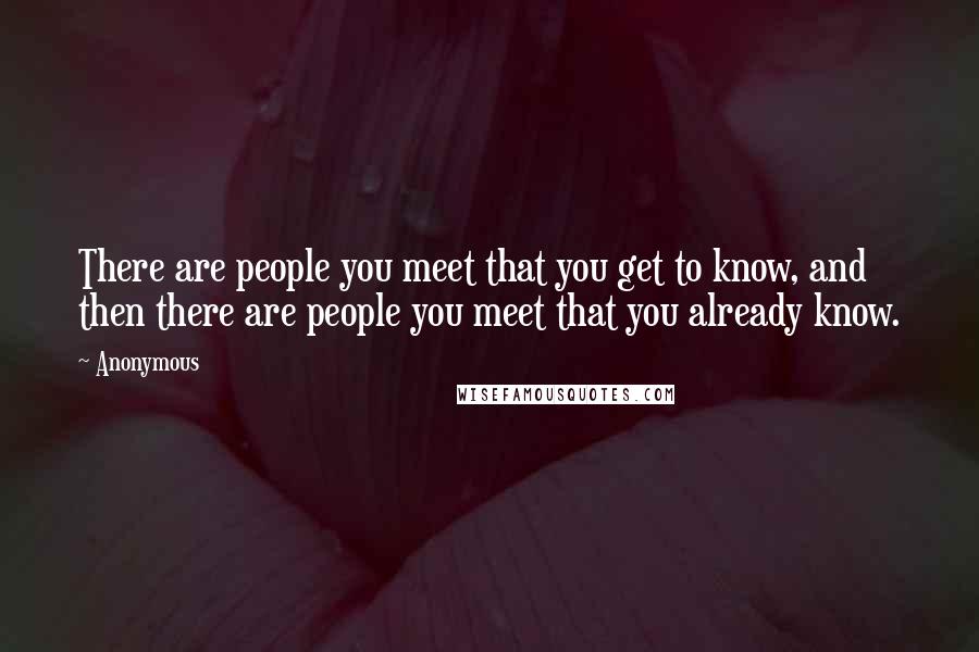 Anonymous Quotes: There are people you meet that you get to know, and then there are people you meet that you already know.