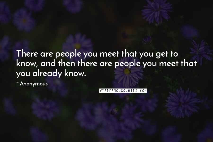 Anonymous Quotes: There are people you meet that you get to know, and then there are people you meet that you already know.