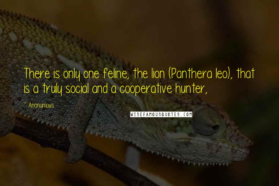 Anonymous Quotes: There is only one feline, the lion (Panthera leo), that is a truly social and a cooperative hunter,