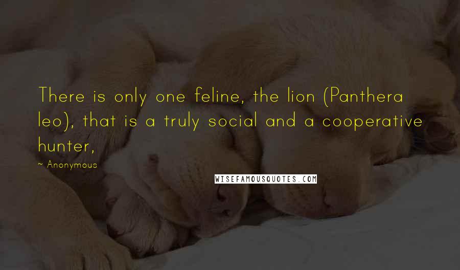 Anonymous Quotes: There is only one feline, the lion (Panthera leo), that is a truly social and a cooperative hunter,