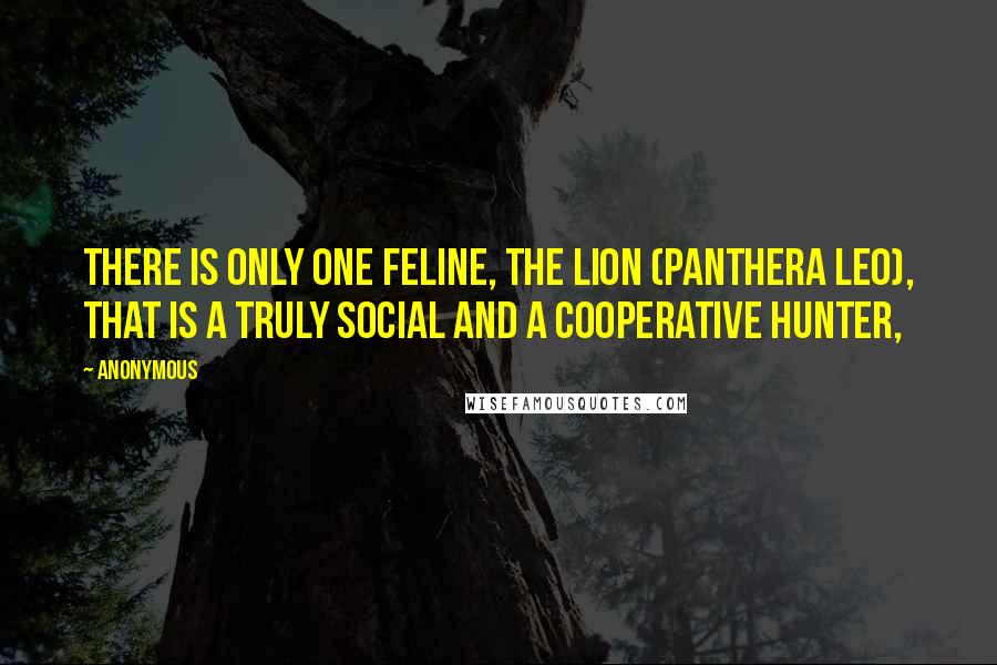 Anonymous Quotes: There is only one feline, the lion (Panthera leo), that is a truly social and a cooperative hunter,