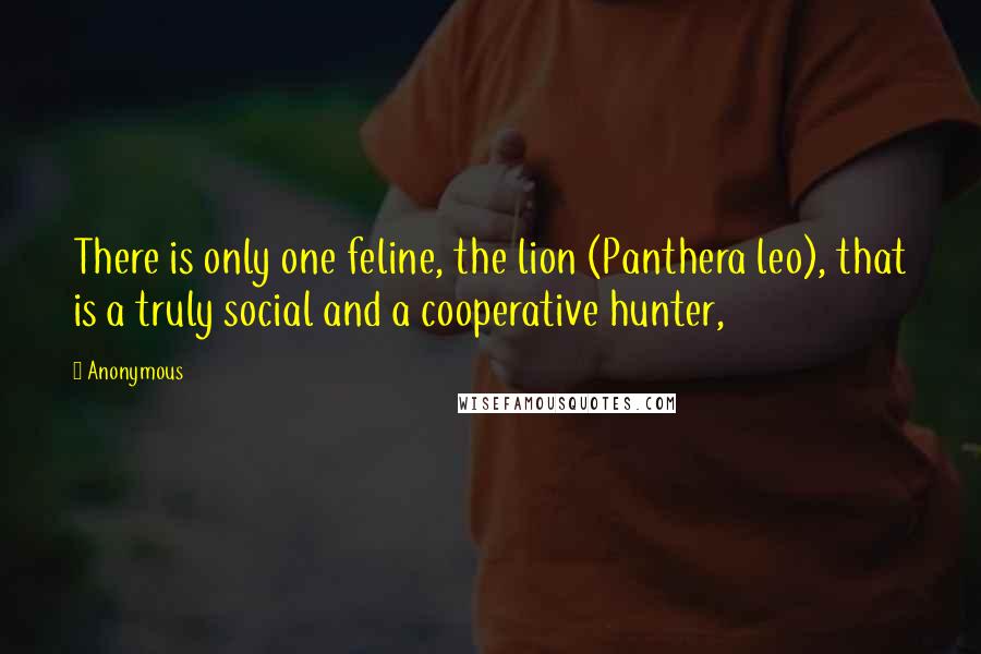 Anonymous Quotes: There is only one feline, the lion (Panthera leo), that is a truly social and a cooperative hunter,