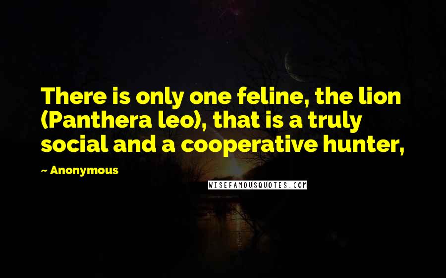 Anonymous Quotes: There is only one feline, the lion (Panthera leo), that is a truly social and a cooperative hunter,