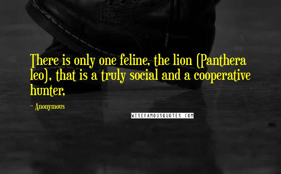 Anonymous Quotes: There is only one feline, the lion (Panthera leo), that is a truly social and a cooperative hunter,
