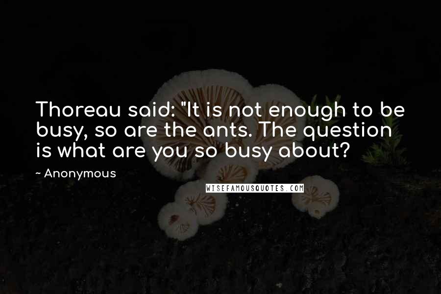 Anonymous Quotes: Thoreau said: "It is not enough to be busy, so are the ants. The question is what are you so busy about?